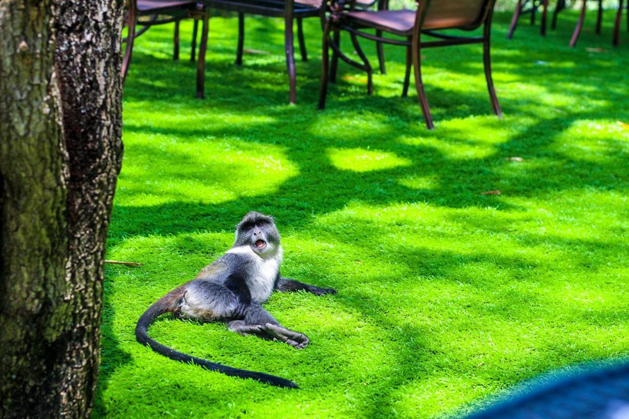 West Wood Hotel Nairobi Dış mekan fotoğraf